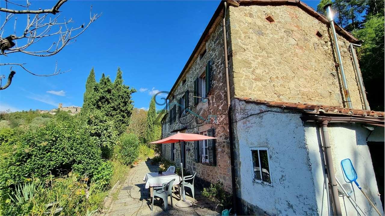 Vendita vendita, Pescia foto