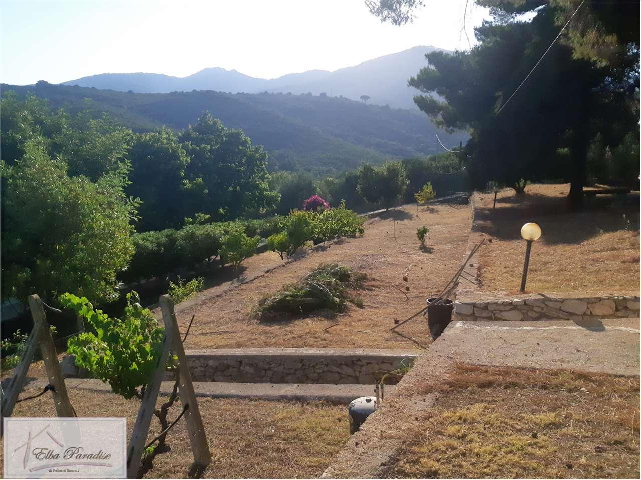Vendita vendita, Campo nell'Elba foto