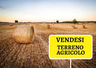 Vendita vendita, Correzzana Vendita vendita, Correzzana
