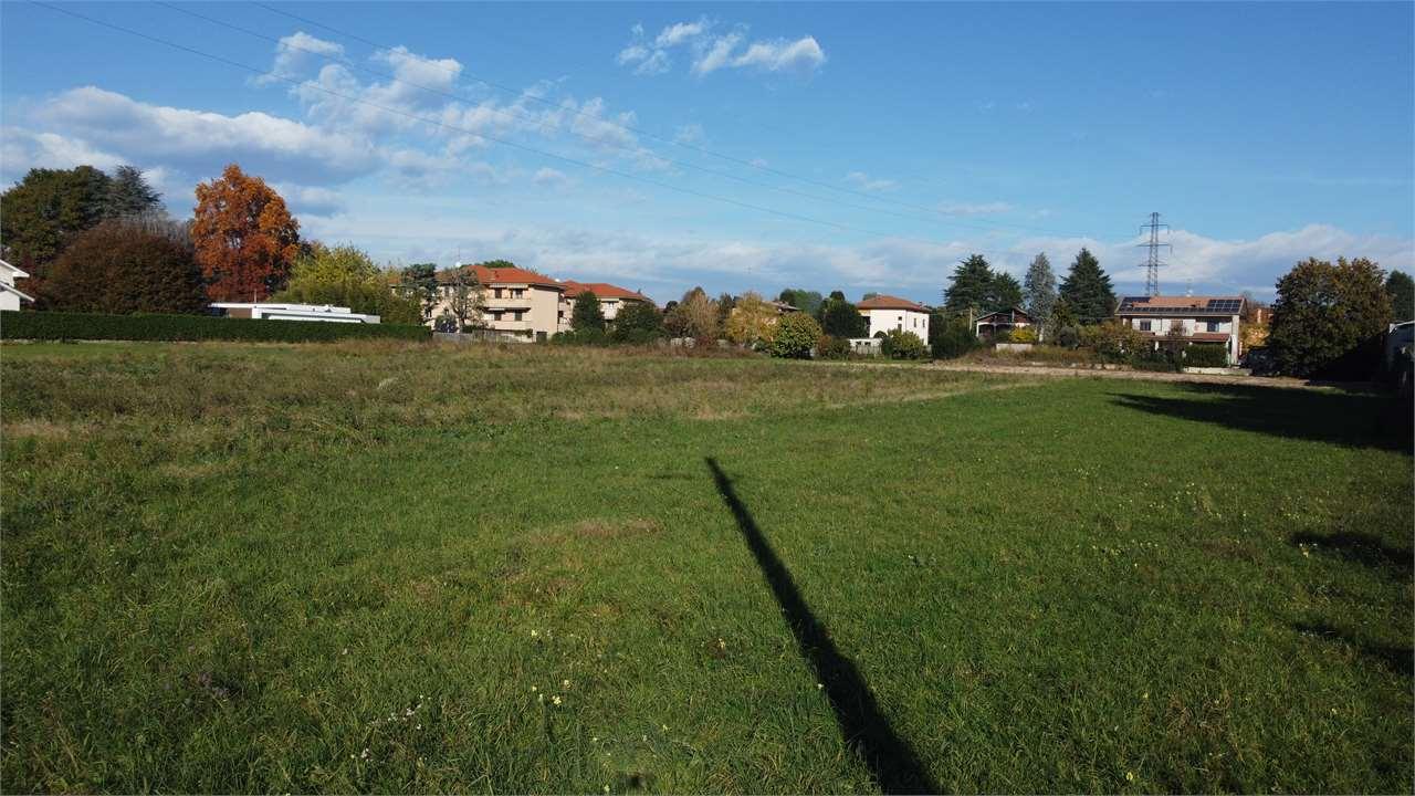 Vendita vendita, Fenegro foto