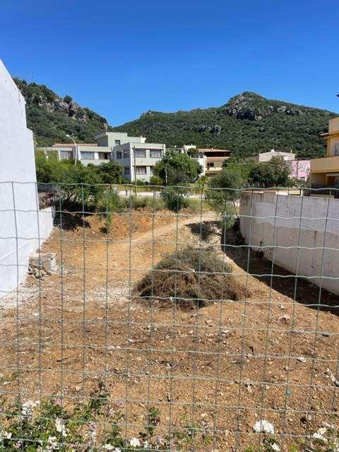 Vendita vendita, Siniscola foto