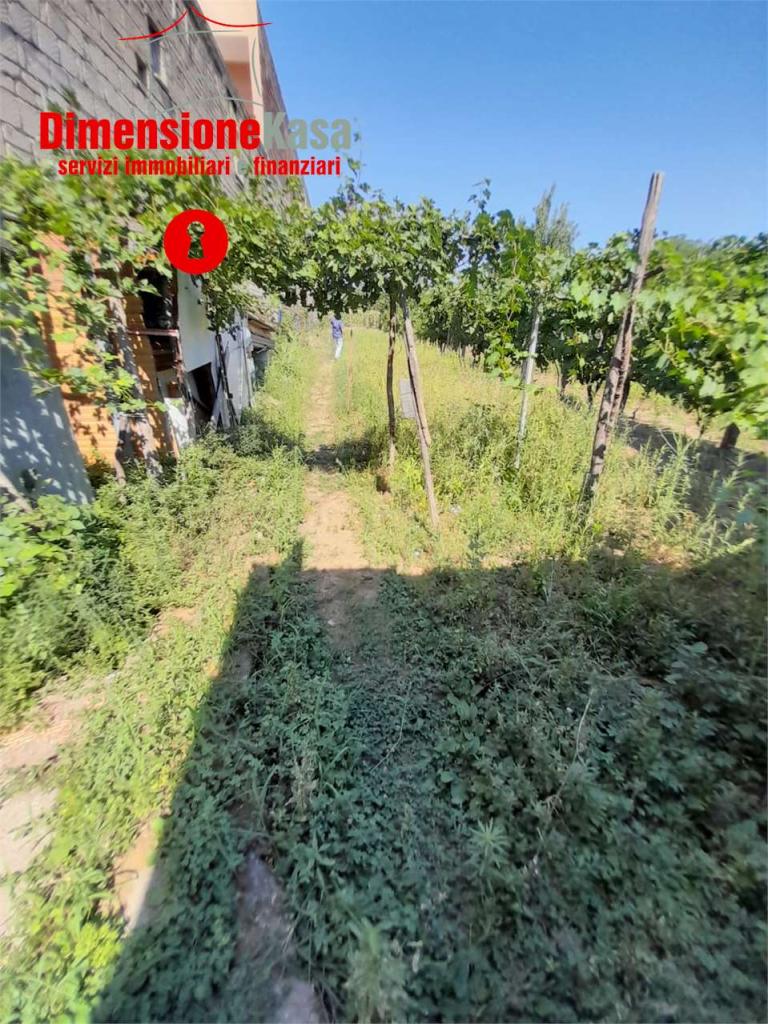 Vendita vendita, Santa Maria a Vico foto