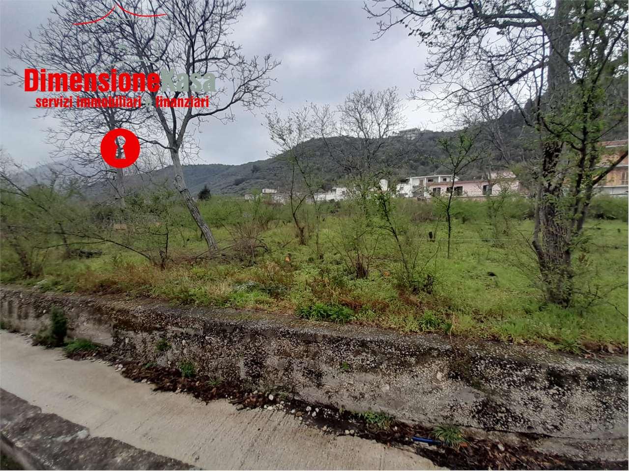 Vendita vendita, Roccarainola foto