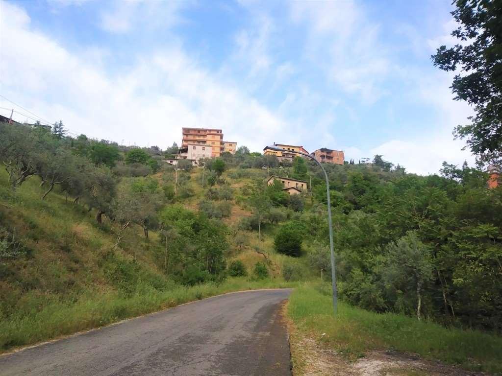 Vendita vendita, Monte San Giovanni Campano foto
