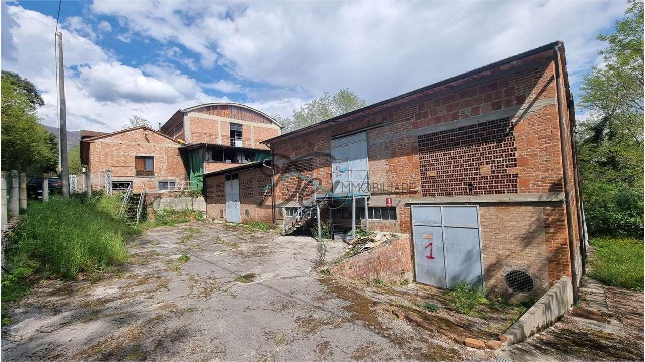 Vendita vendita, Capannori foto