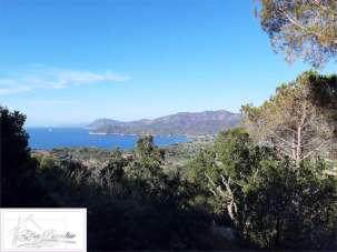 Vendita vendita, Portoferraio