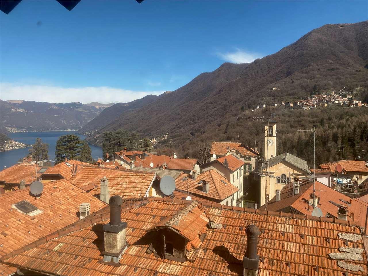 Vendita vendita, Faggeto Lario foto