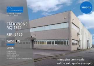 Vendita vendita, Paese Vendita vendita, Paese