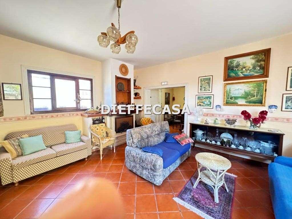 Vendita vendita, Marsala foto