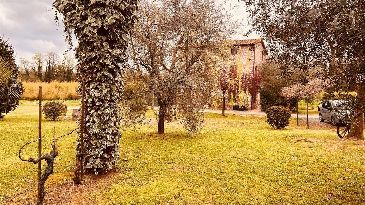 Vendita vendita, Capannori foto