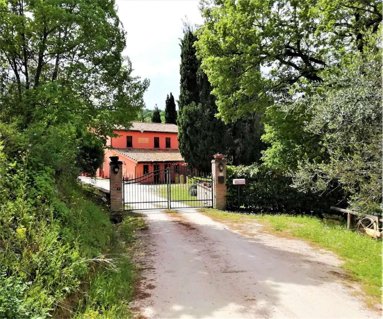 Vendita vendita, Urbino foto