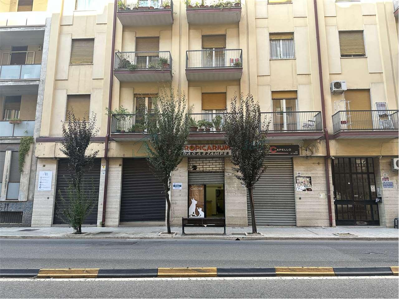 Affitto affitto, Cosenza foto