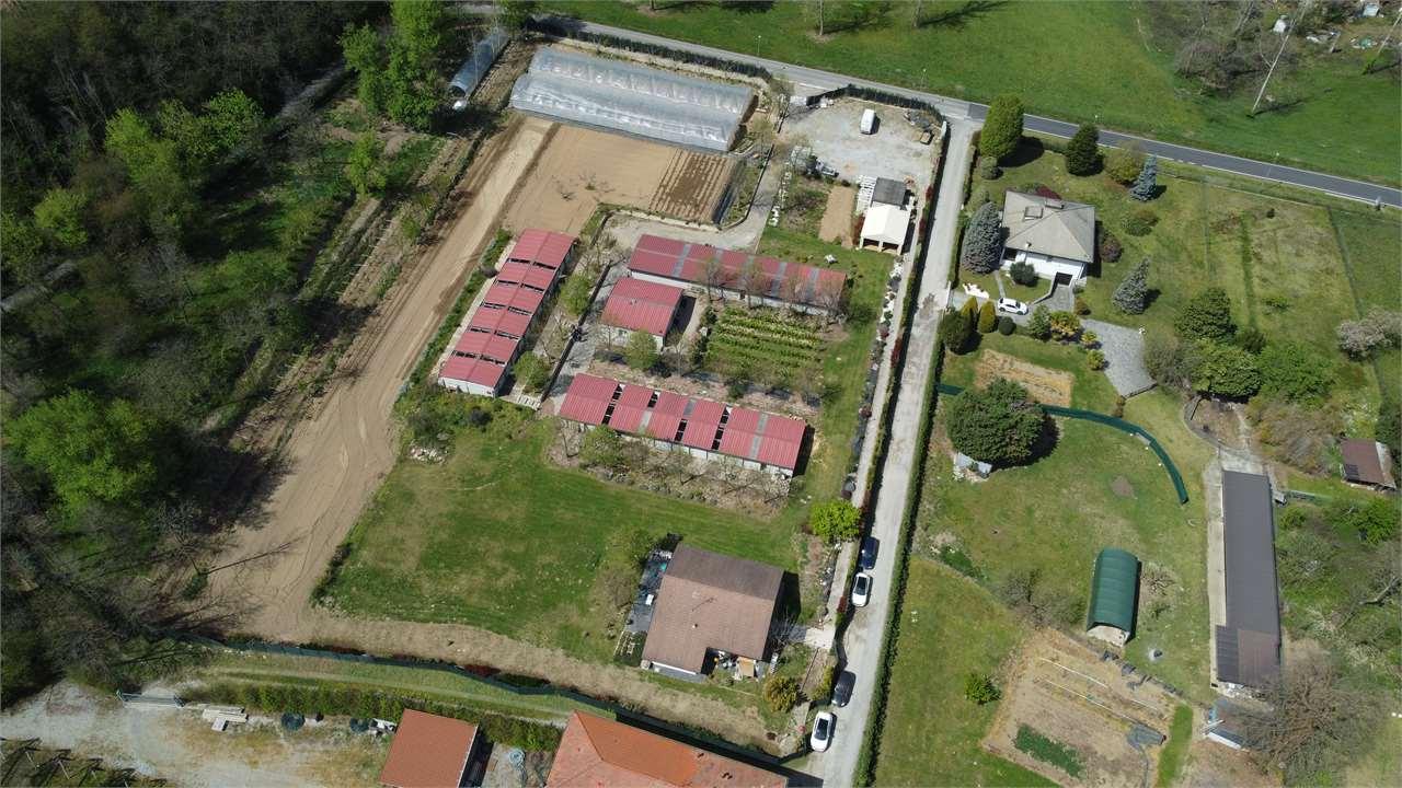 Vendita vendita, Lentate sul Seveso foto