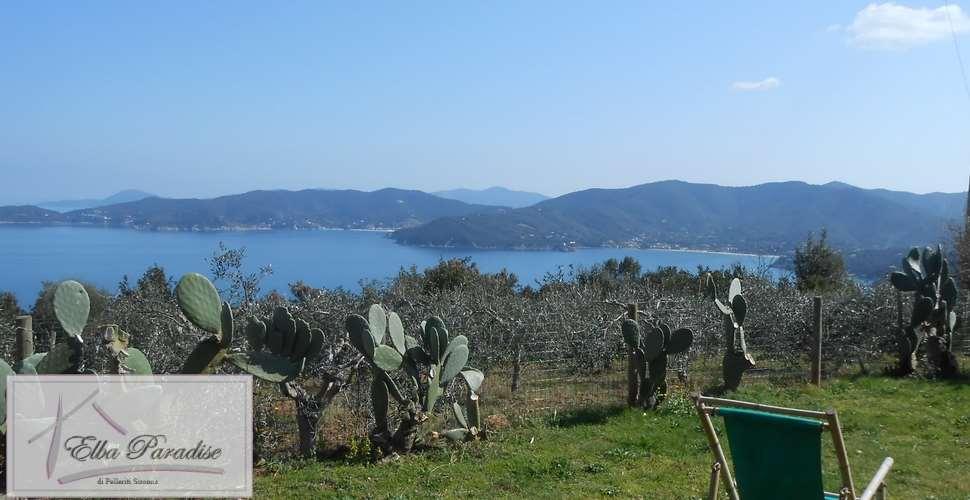 Vendita vendita, Marciana Marina foto