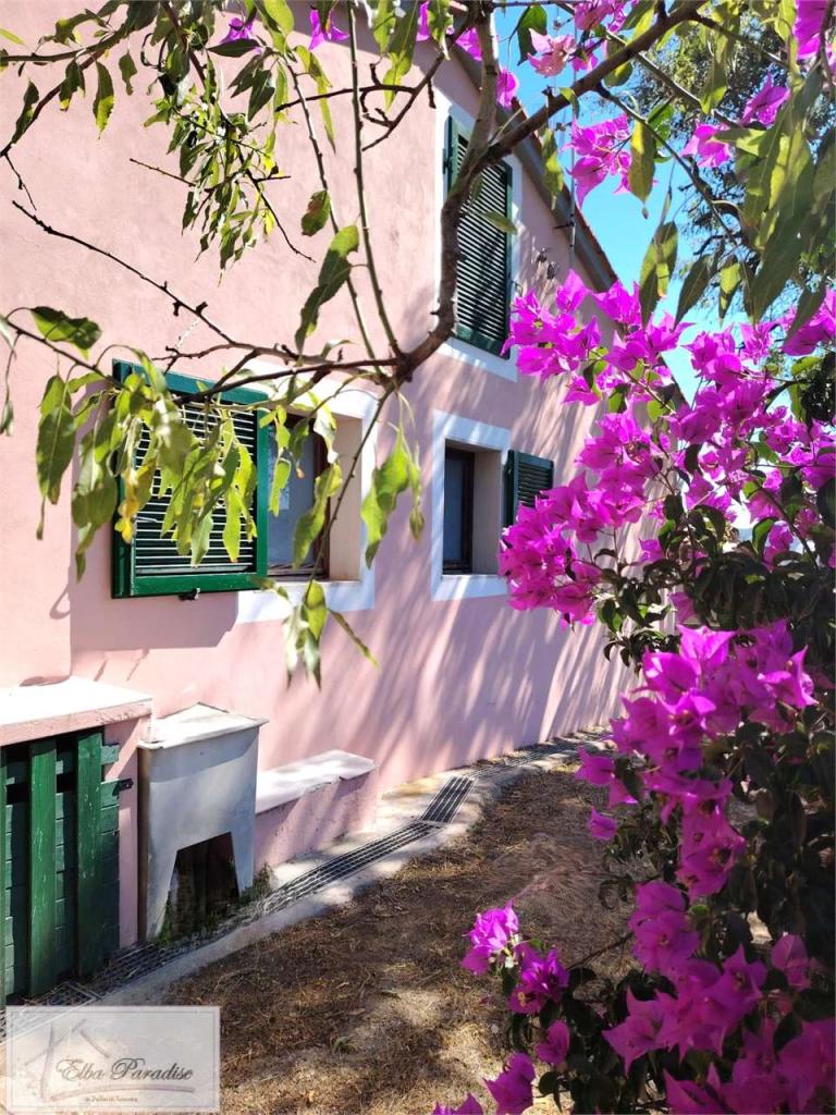 Vendita vendita, Porto Azzurro foto