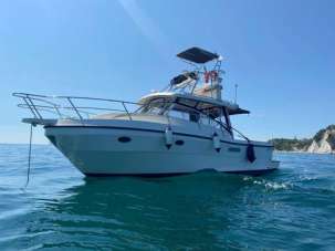 Polyform Triakis c30 tt Diesel 2008 Usata, Milano