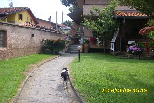 Vendita Multivani, Massa foto