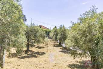 Vendita Loft, mansarde e attici, Ortovero Vendita Loft, mansarde e attici, Ortovero