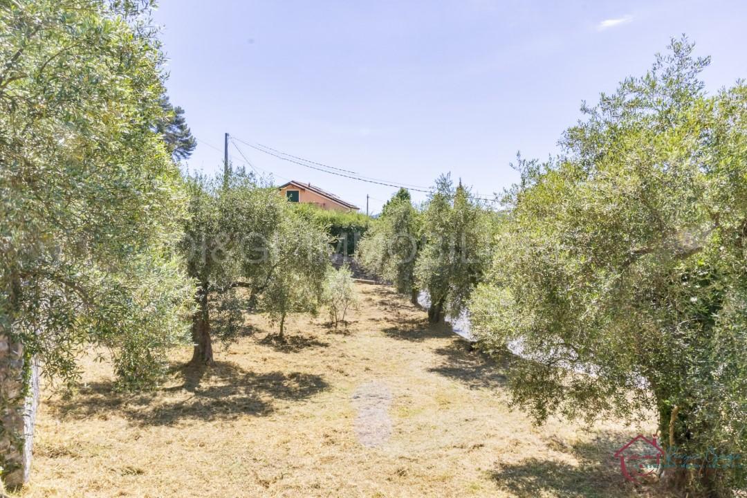 Vendita Loft, mansarde e attici, Ortovero foto