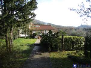 Vendita Multivani, Castelnuovo Magra Vendita Multivani, Castelnuovo Magra