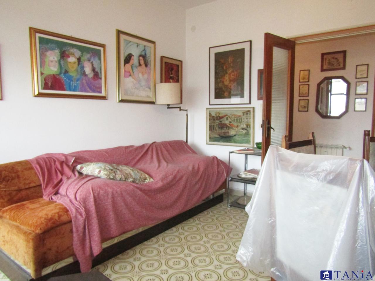 Vendita Quadrivani, Carrara foto