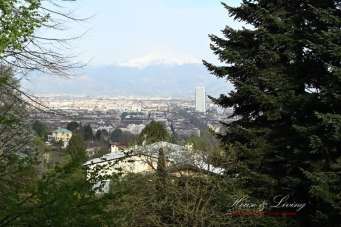 Vendita Multivani, Torino Vendita Multivani, Torino