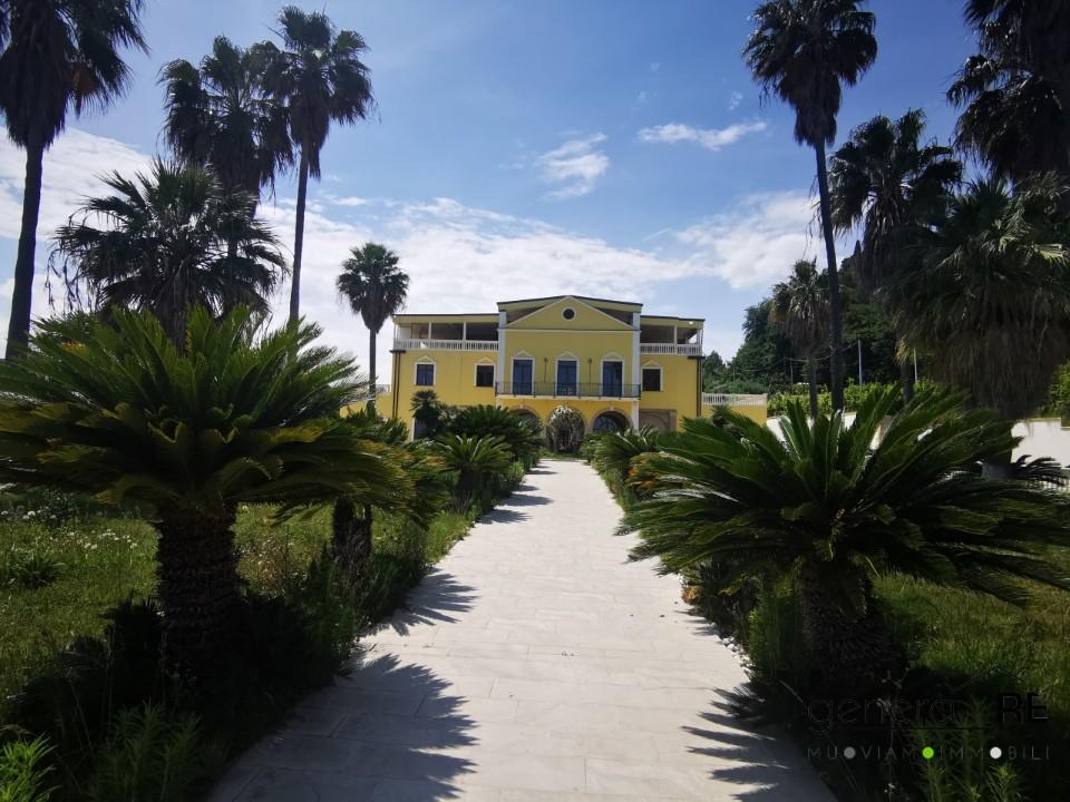 Vendita Multivani, Francavilla al Mare foto