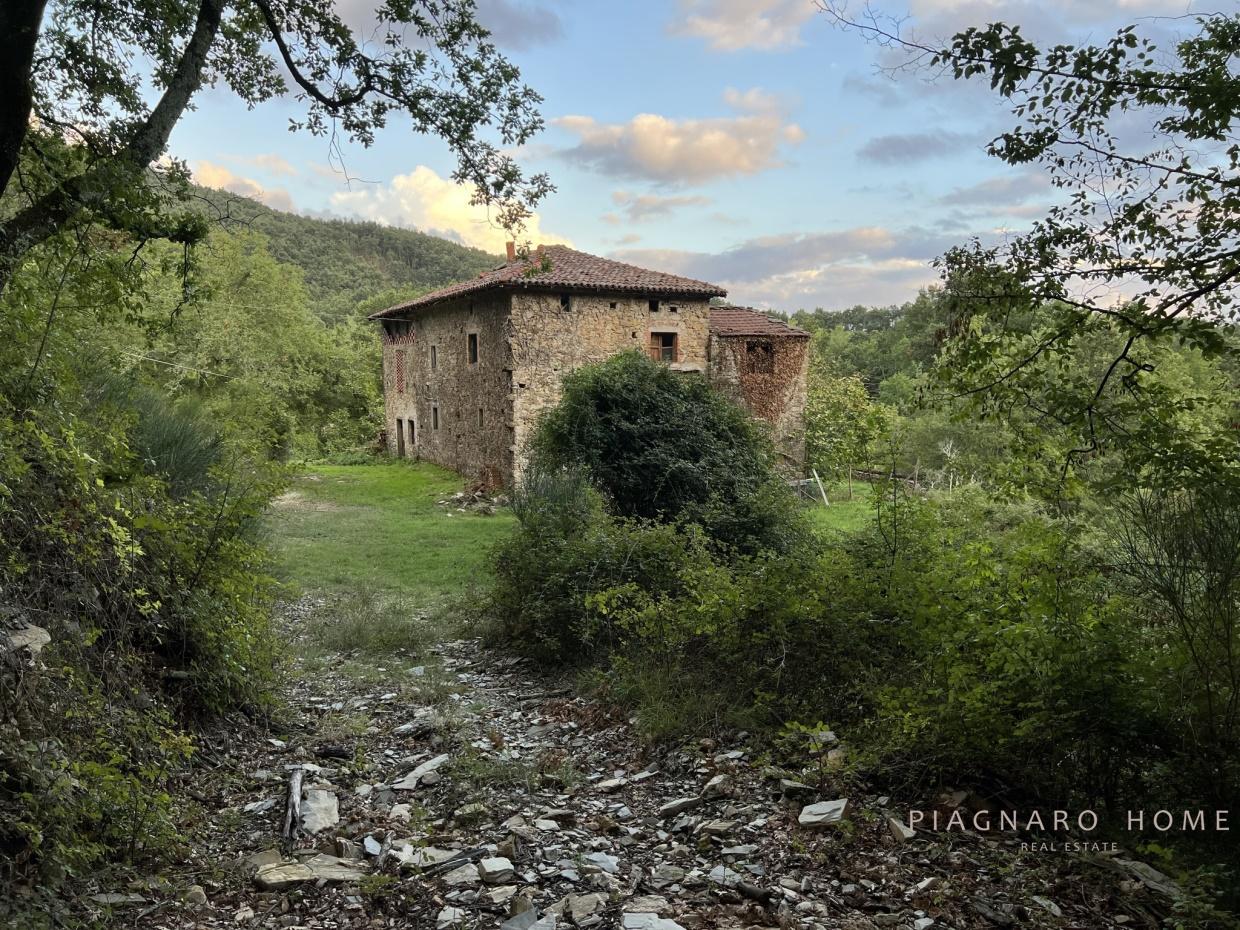Vendita Multivani, Pontremoli foto