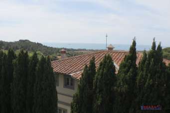 Vendita Multivani, Livorno Vendita Multivani, Livorno