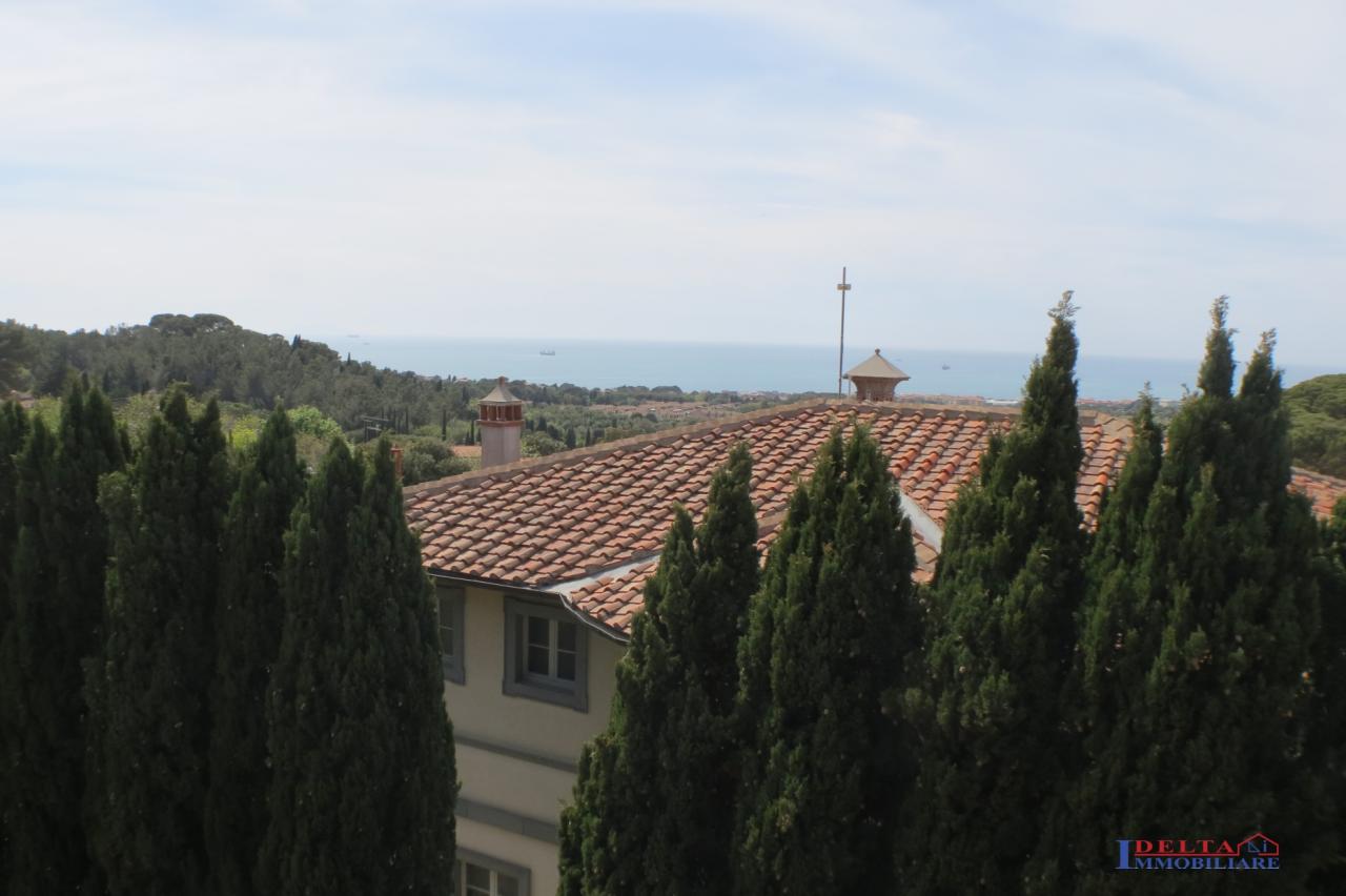 Vendita Multivani, Livorno foto