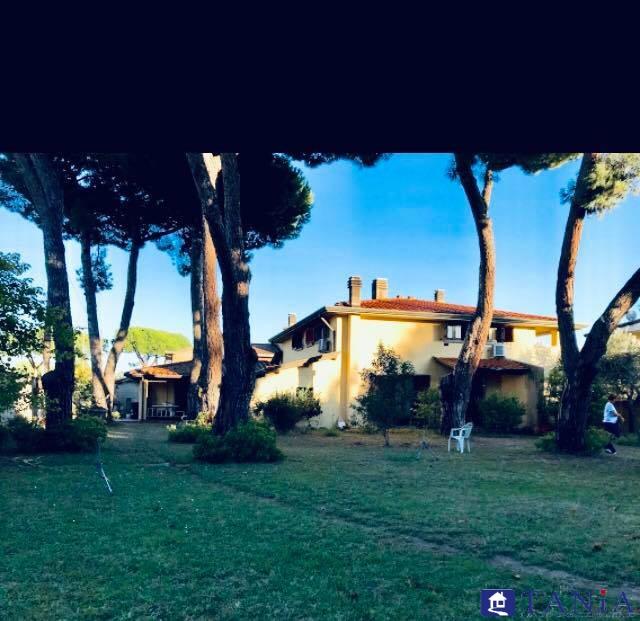 Vendita Case, Carrara foto