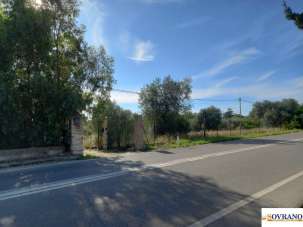 Vendita Loft, mansarde e attici, Terrasini Vendita Loft, mansarde e attici, Terrasini