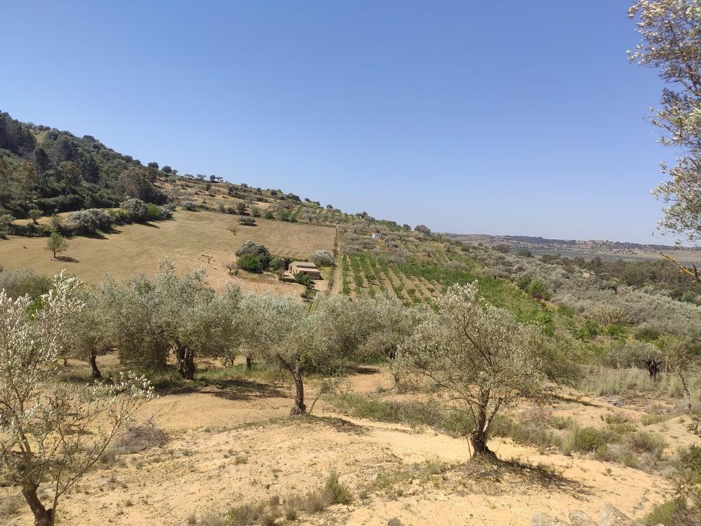 Vendita Case, Caltagirone foto