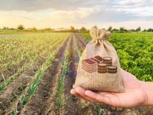 Vendita Terreno Agricolo, Cesenatico Vendita Terreno Agricolo, Cesenatico