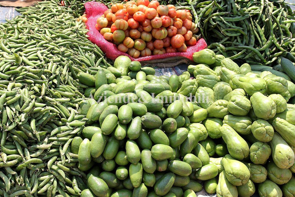 Vendita Alimentari, Lecco foto