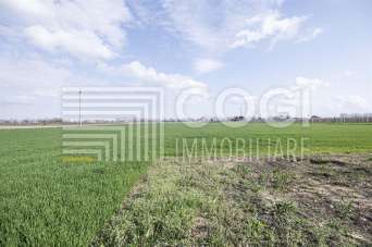Vendita Terreno Agricolo, Bagnacavallo Vendita Terreno Agricolo, Bagnacavallo