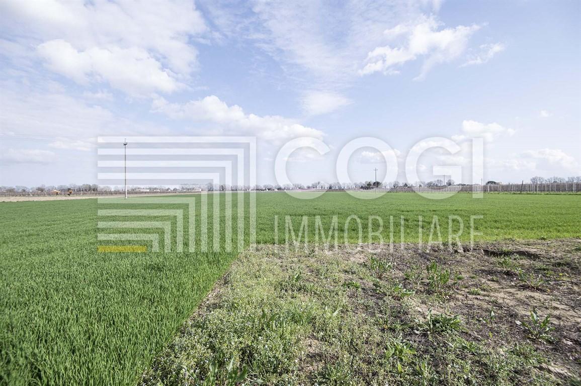 Vendita Terreno Agricolo, Bagnacavallo foto