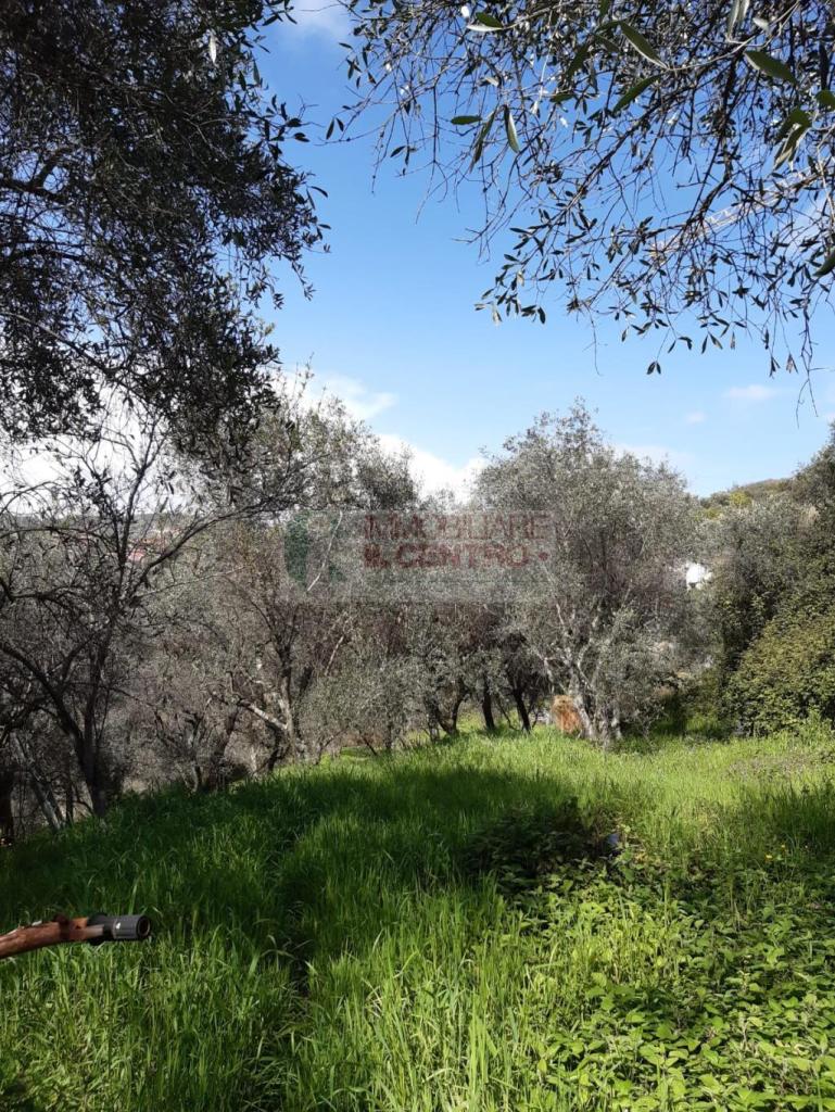 Vendita Terreno Agricolo, Sarzana foto
