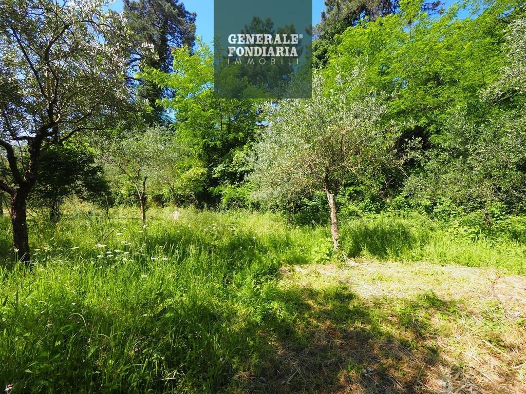 Vendita Terreno Agricolo, Bolano foto