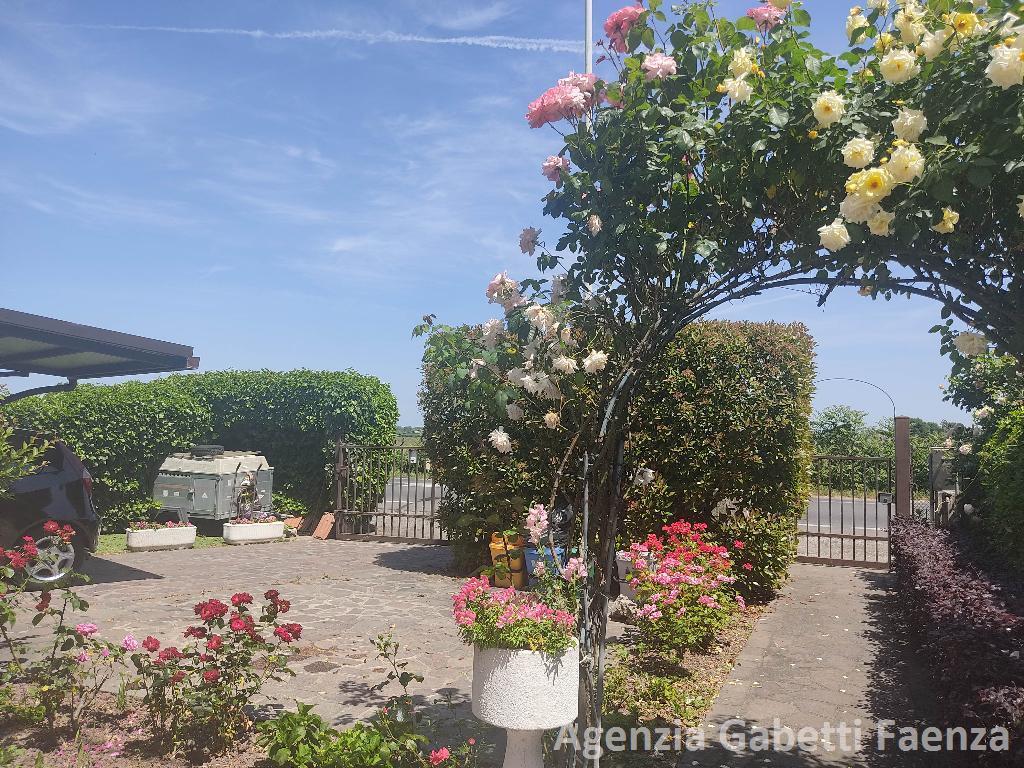 Vendita Casa Indipendente, Faenza foto