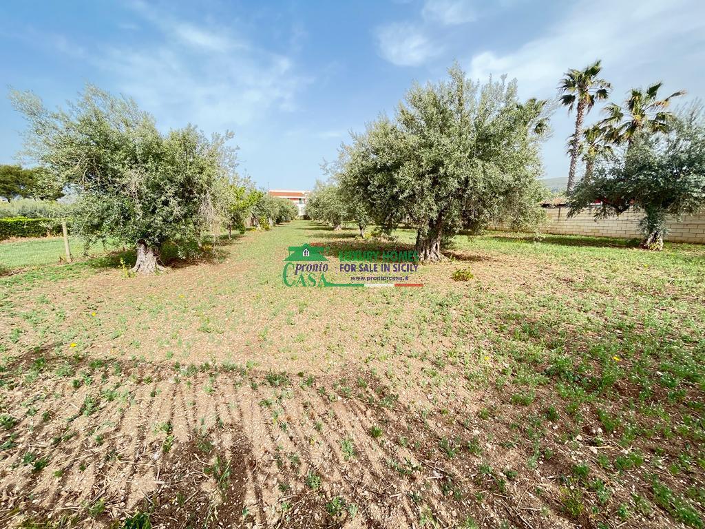 Vendita Terreno Agricolo, Comiso foto