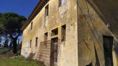 Vendita Rustico / Casale, Palaia Vendita Rustico / Casale, Palaia