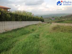 Vendita Terreno Agricolo, Oratino Vendita Terreno Agricolo, Oratino