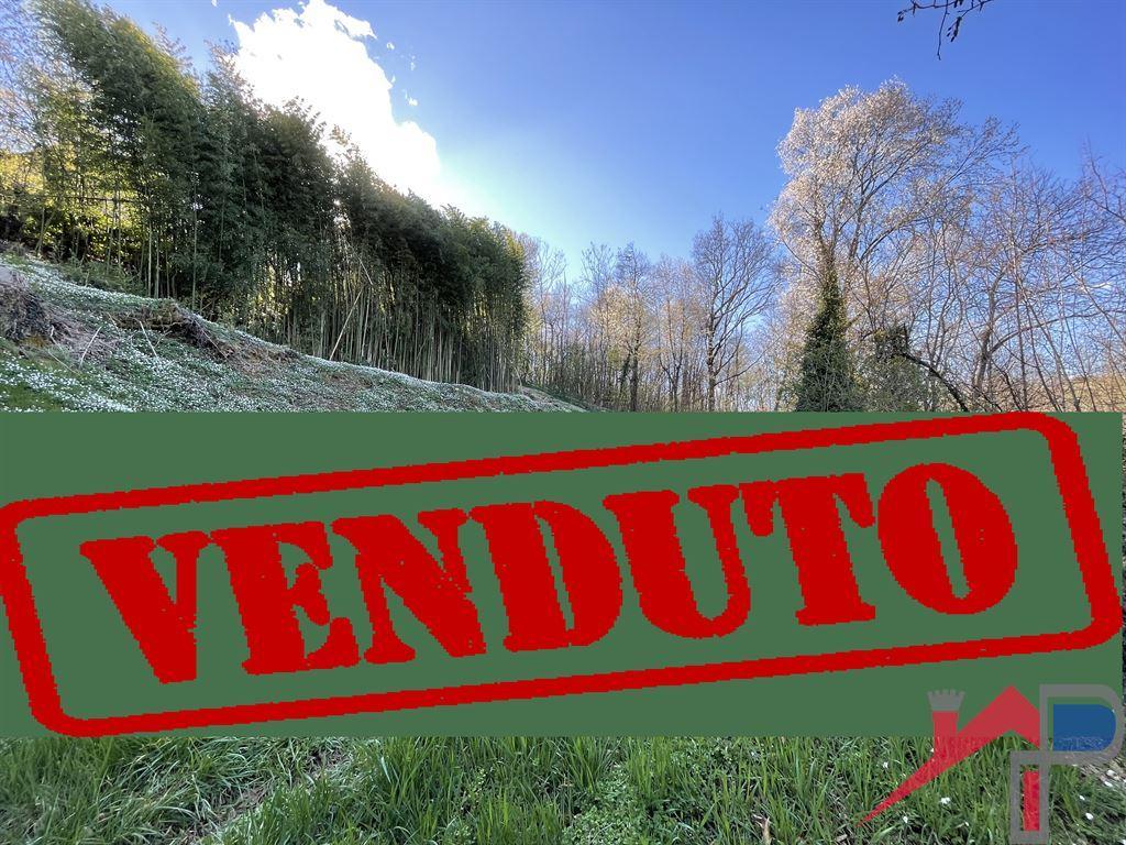 Vendita Terreno Residenziale, Palazzago foto
