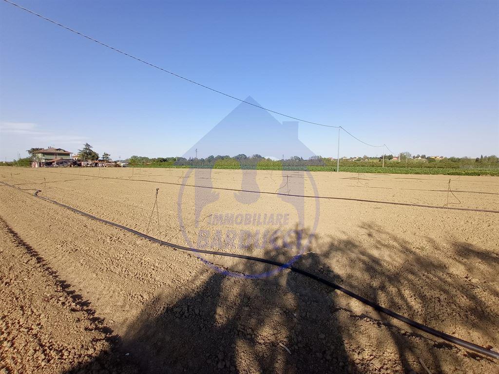 Vendita Terreno Agricolo, Cervia foto