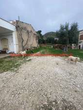 Vendita Rustico / Casale, Mattinata Vendita Rustico / Casale, Mattinata