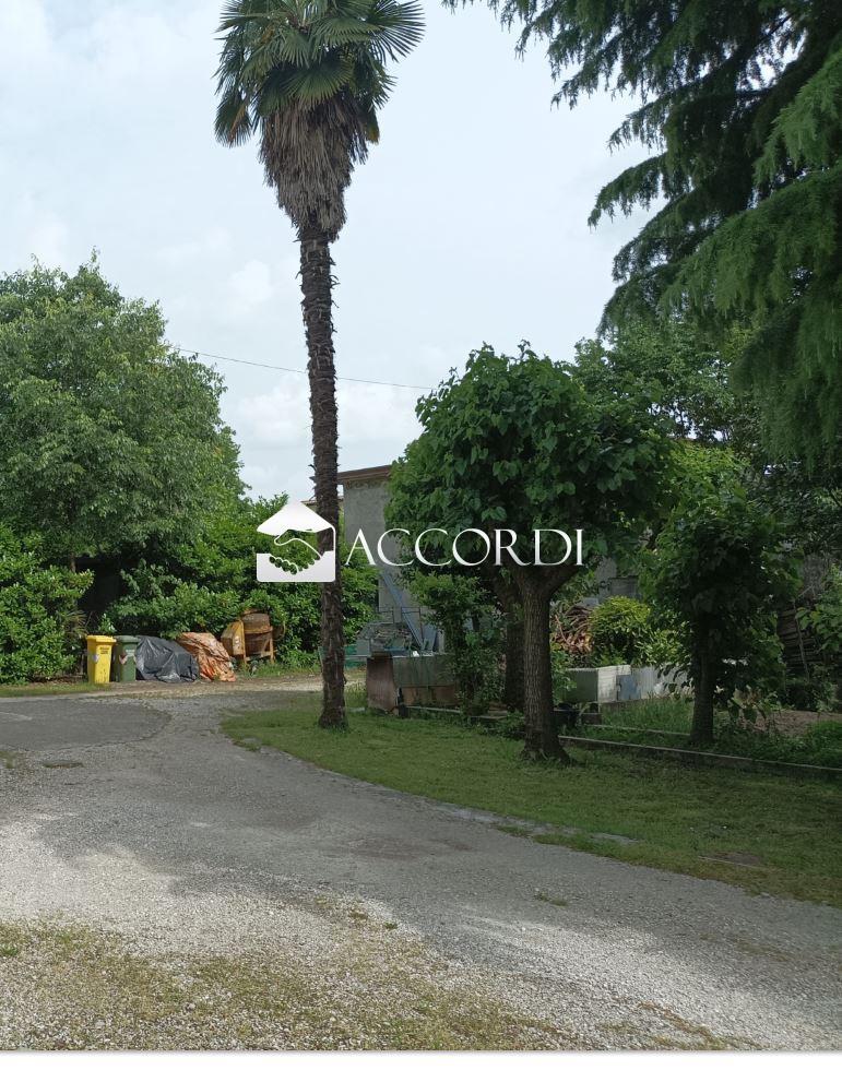 Vendita Multivani, Santa Lucia di Piave foto