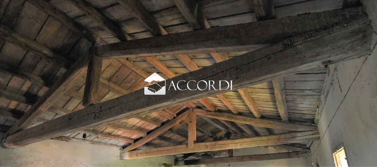 Vendita Multivani, Godega di Sant'Urbano foto
