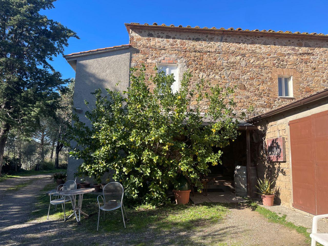Vendita Quadrivani, Campagnatico foto