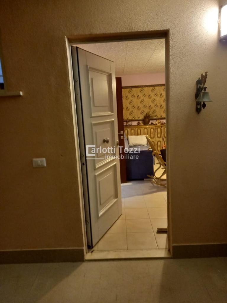 Vendita Esavani, Grosseto foto